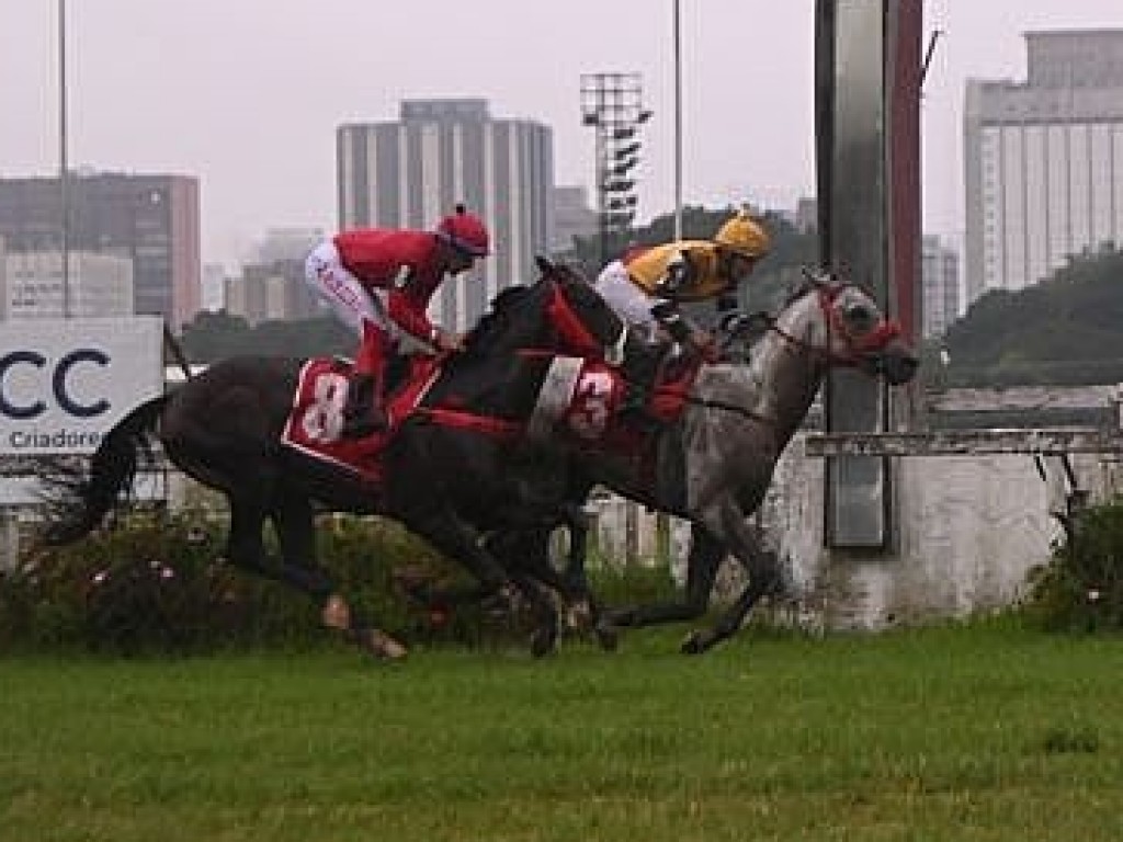 Foto: Padr&atilde;o de regularidade na milha, Pool Game conquista G3