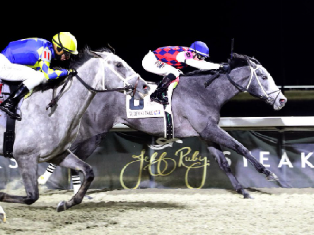 Foto: Com brasileiras ganhadoras de G1 no pedigree, Great White soma pontos para o Kentucky Derby