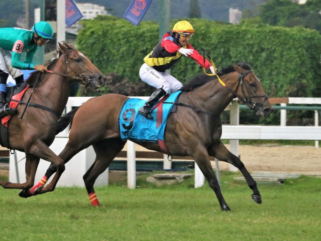 Foto: Sequ&ecirc;ncia das tr&iacute;plices coroas da G&aacute;vea tem campos divulgados