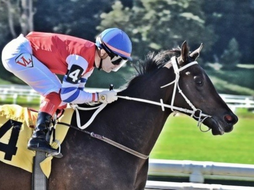 Foto: Em Turfway Park, Devassa coloca-se em mais um stakes