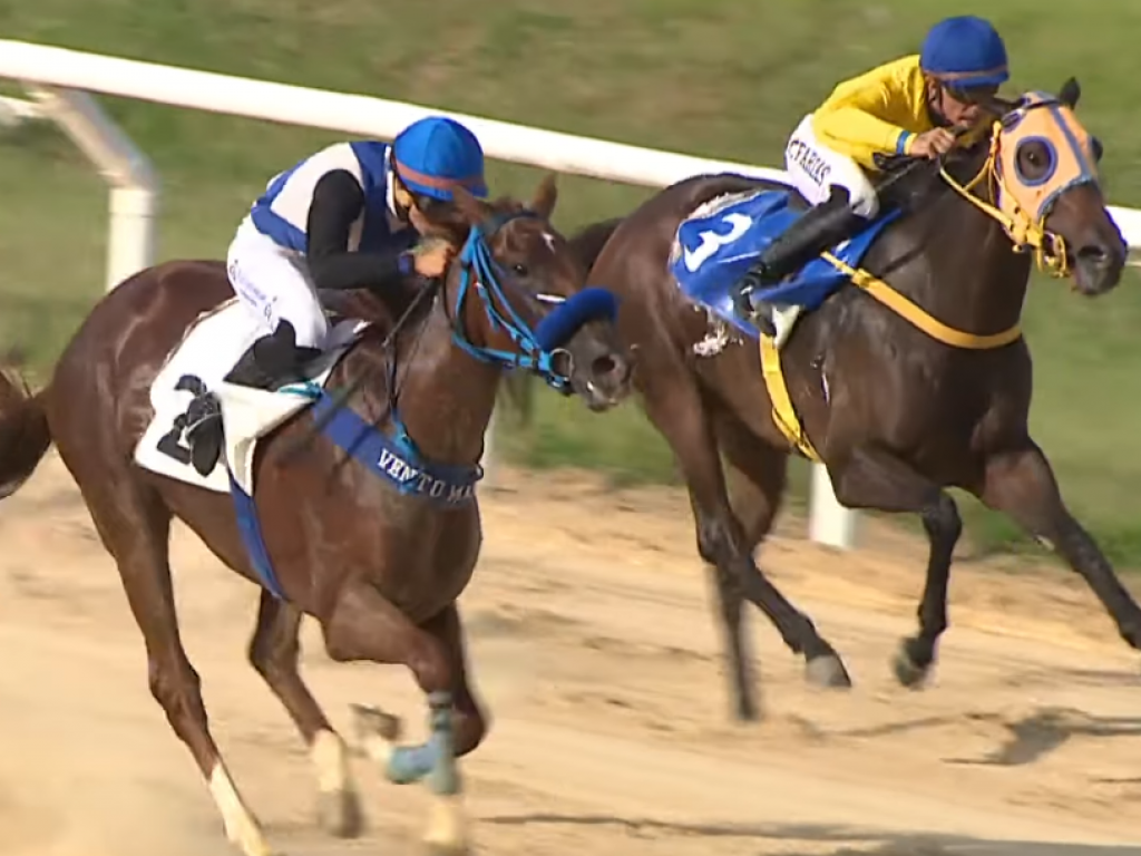 Foto: Onorata supera Lizarra, em Porto Alegre