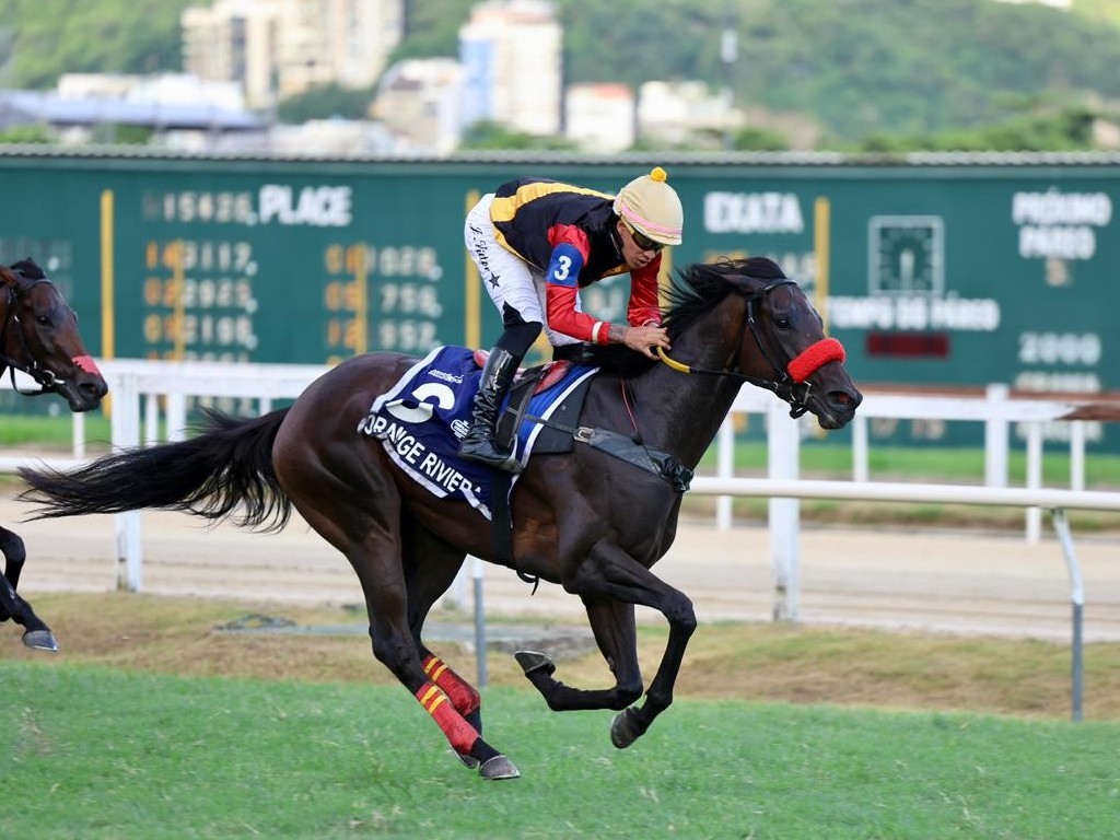 Foto: Orange Riviera &eacute; a campe&atilde; do Grande Pr&ecirc;mio Diana (G1) - Haras Santa Maria de Araras