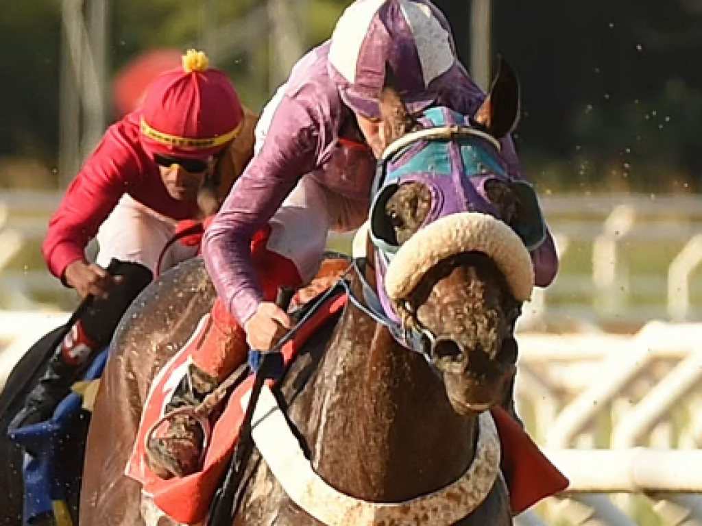 Foto: Galileu Corunilha confirma favoritismo e vence mais uma, em Porto Alegre
