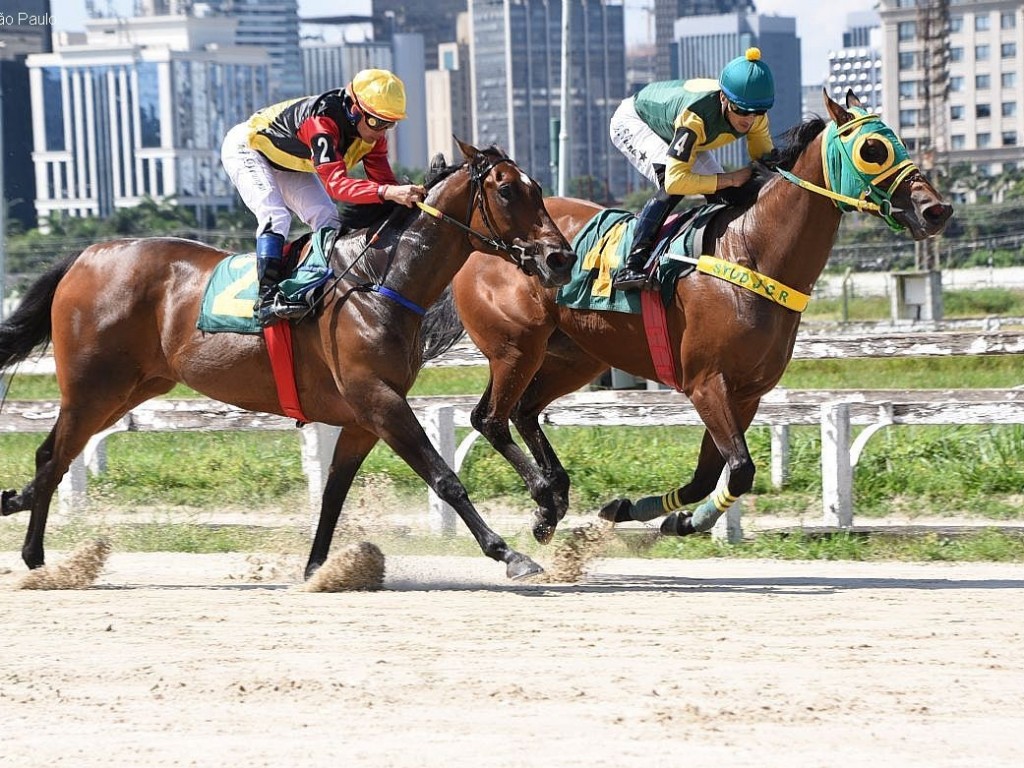 Foto: Entre as aren&aacute;ticas, Niamore desbanca Shallow Now