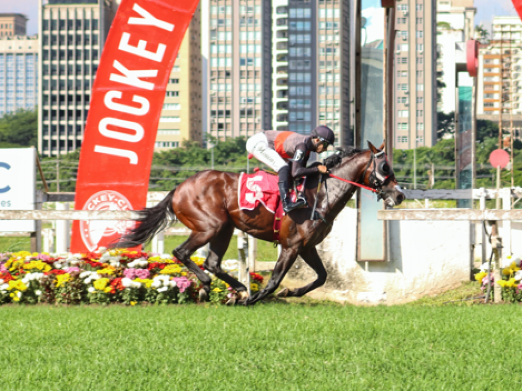 Foto: Rafa do Iguassu demonstra sobras entre os milheiros