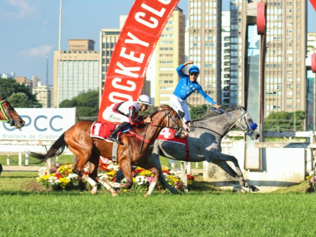 Foto: No teste para o GP S&atilde;o Paulo, Zandor leva a melhor