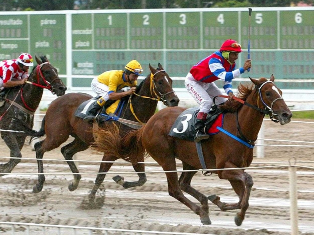 Foto: No final de semana, Turfe Paranaense, Derby e cl&aacute;ssicos da nova gera&ccedil;&atilde;o movimentam Curitiba