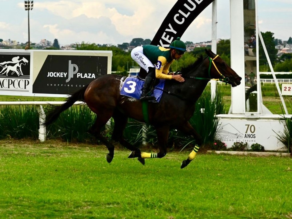 Foto: Em recorde, Piu Carina retorna com vit&oacute;ria