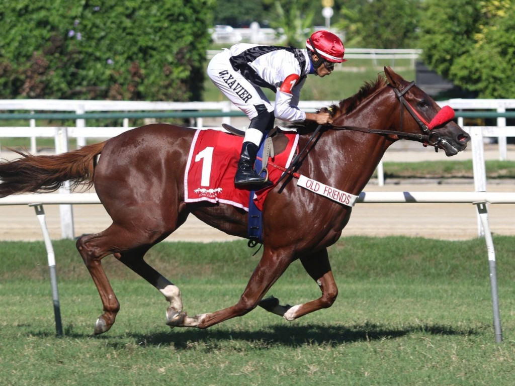Foto: Iluminada brilha para a lideran&ccedil;a entre as potrancas