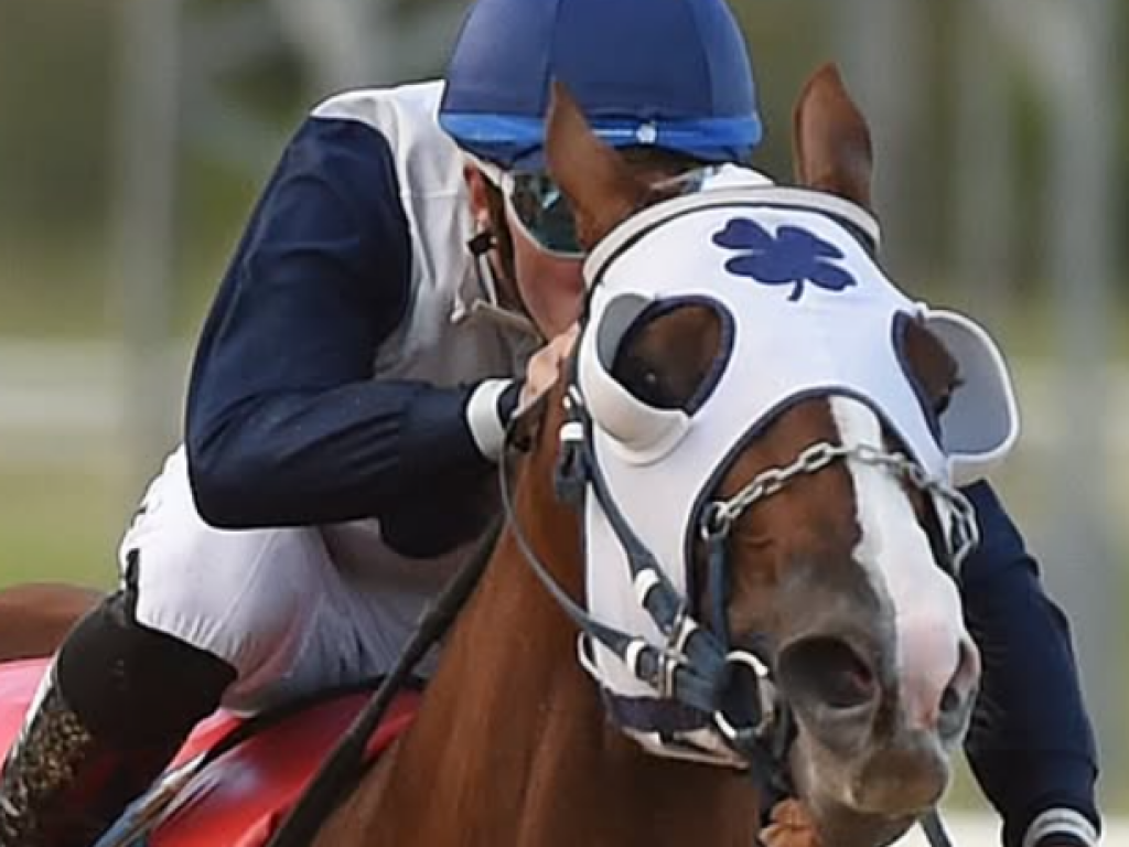 Foto: Nix Et Lux &eacute; a nova l&iacute;der do Cristal