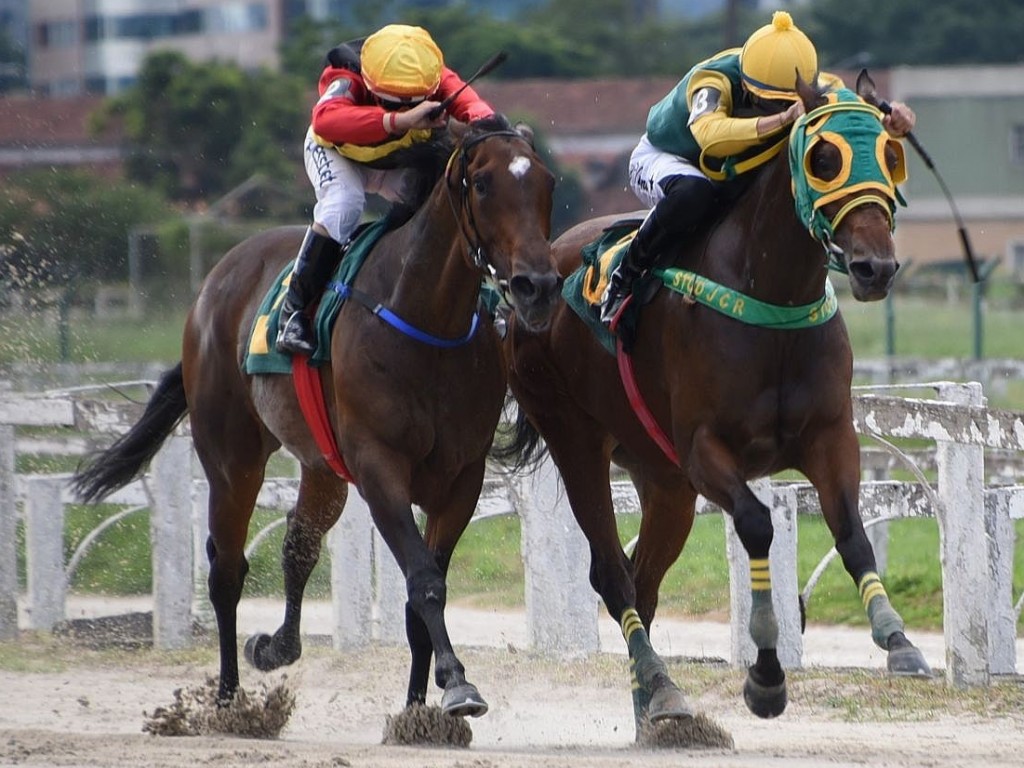 Foto: Cidade Jardim: Niamore volta a bancar a algoz de Shallow Now