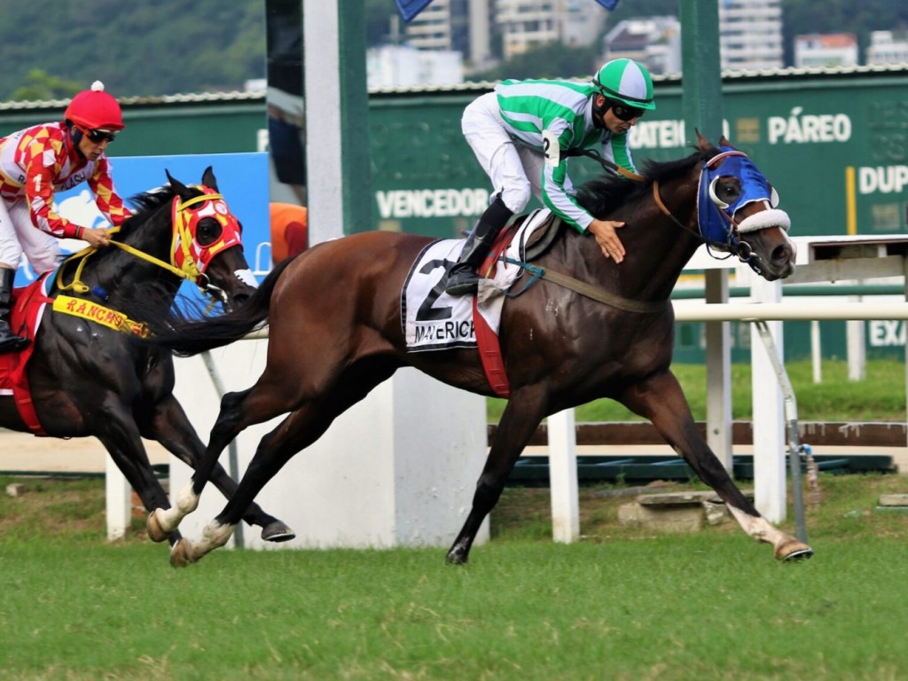 Foto: Maverick acelera na hora certa no GP Gerv&aacute;sio Seabra (G2)