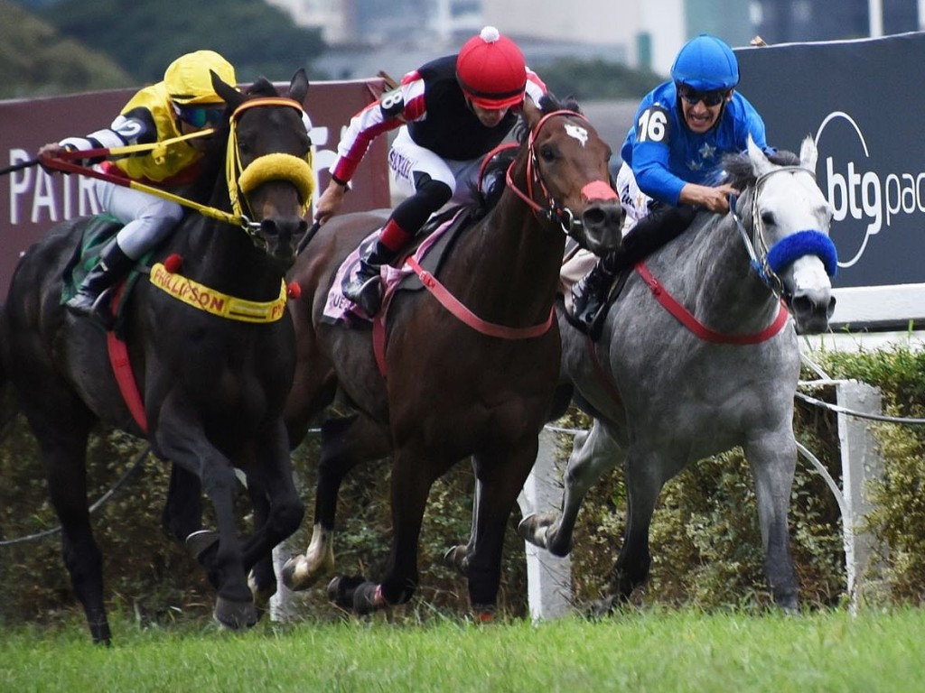 Foto: Quero Te Mucho atropela para a gl&oacute;ria no GP S&atilde;o Paulo - BTG Pactual (G1)