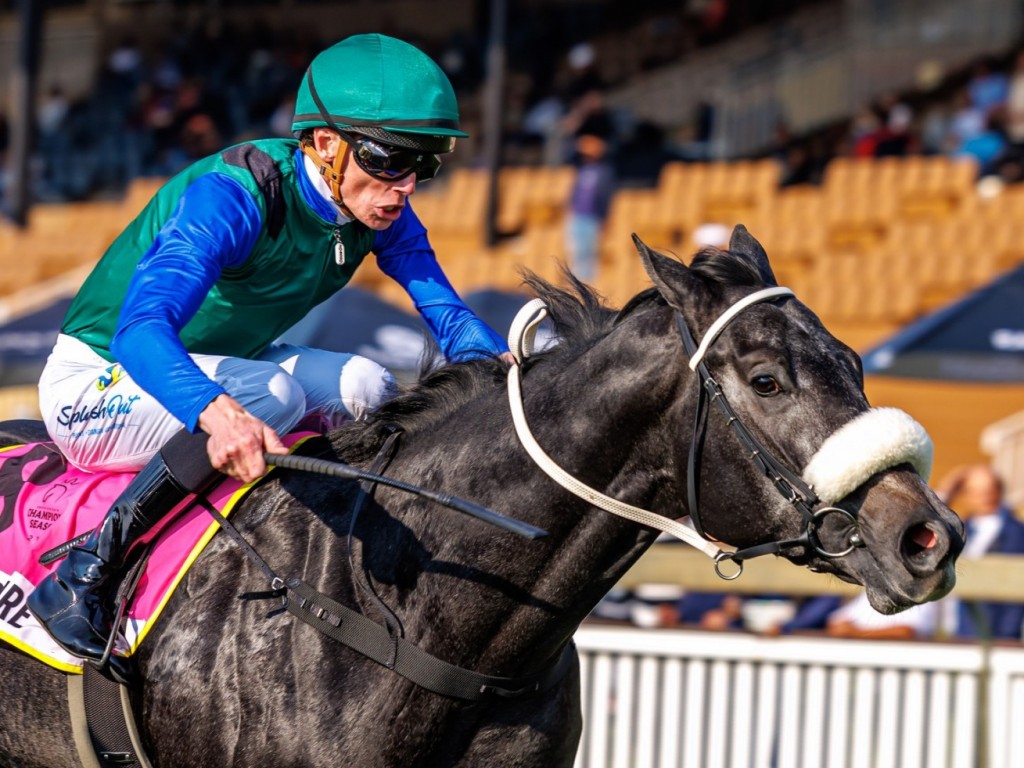 Foto: Com Ilha da Vit&oacute;ria no pedigree, Haute Couture conquista G1 na &Aacute;frica do Sul