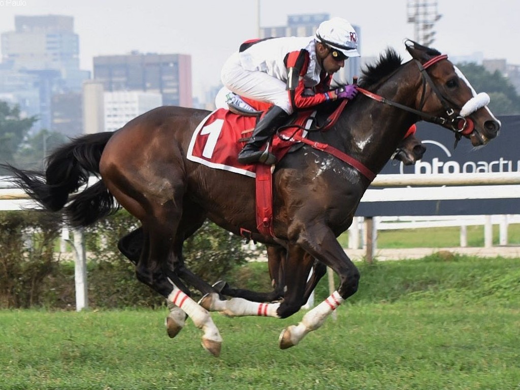 Foto: Chernozem confirma &oacute;tima corrida do GP S&atilde;o Paulo e vence G3