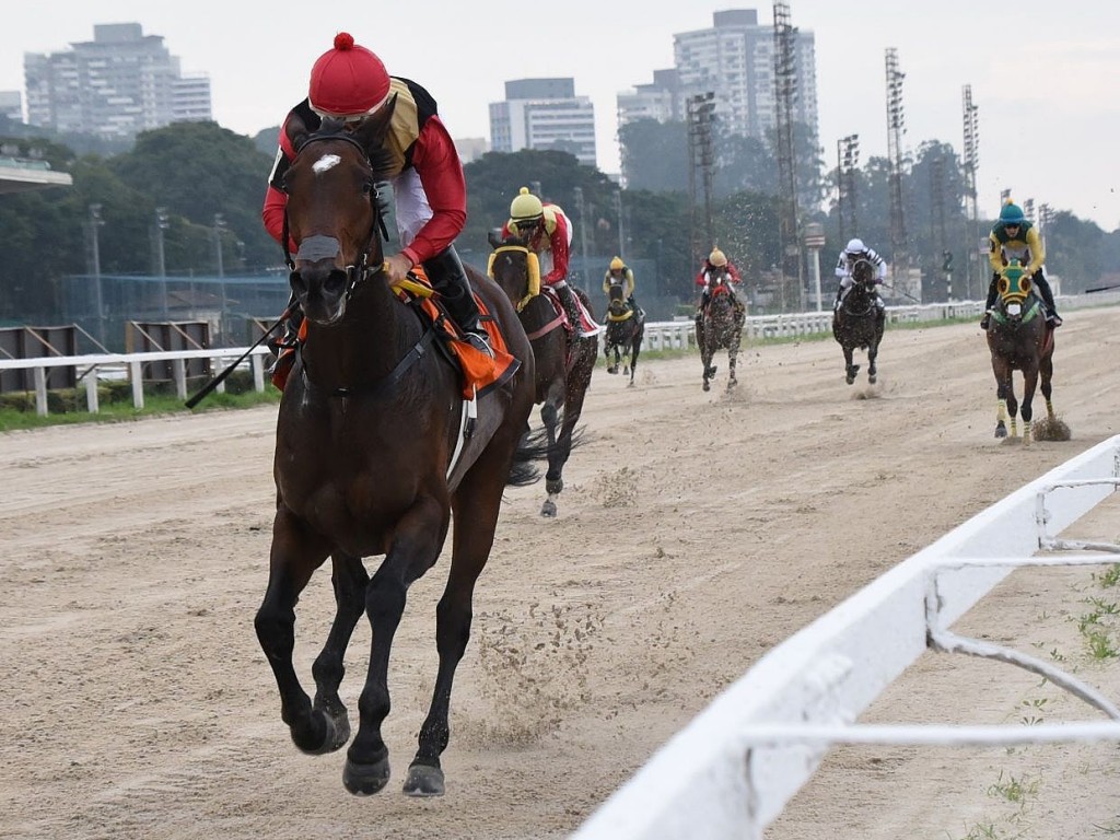 Foto: Shallow Now larga, acaba e conquista o "bi" GP Pres. Jo&atilde;o Carlos Leite Penteado (G3)