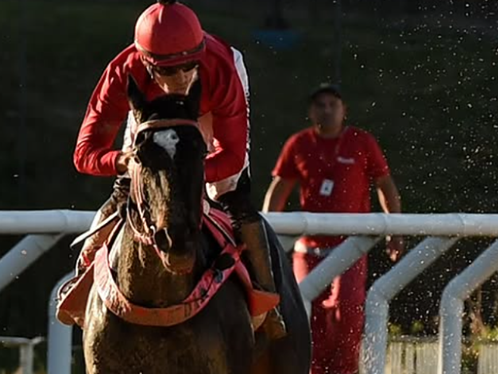 Foto: Expert De La C&ocirc;te refor&ccedil;a dom&iacute;nio entre as f&ecirc;meas, no Cristal