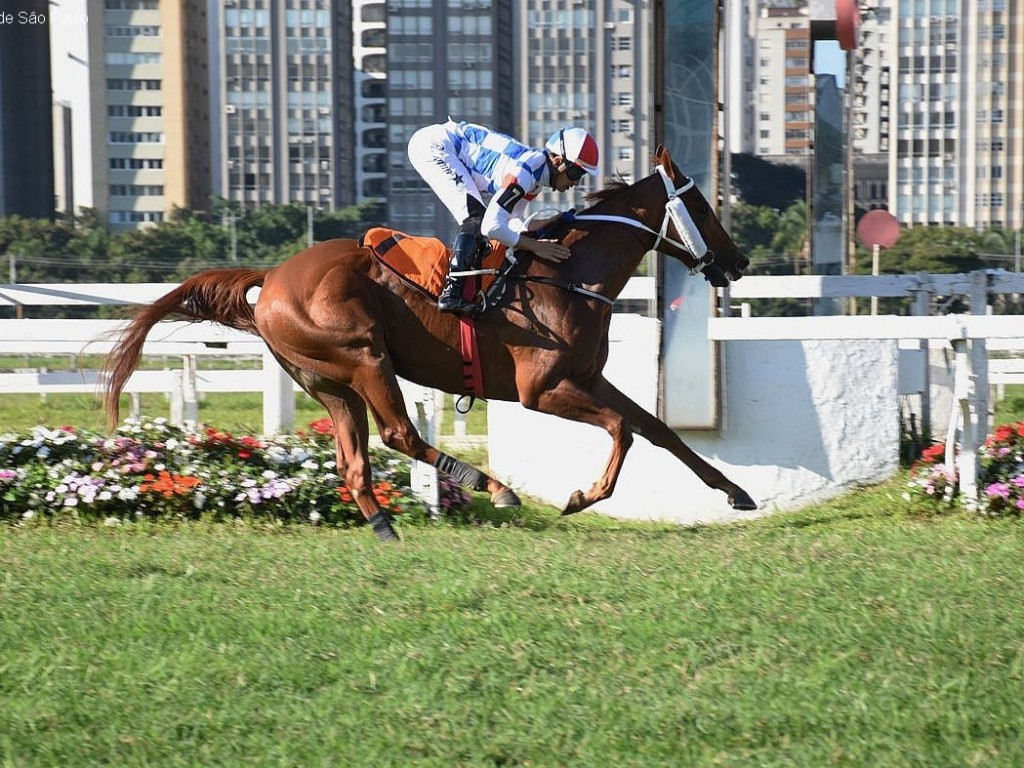 Foto: Amazon Queen estreia em S&atilde;o Paulo com vit&oacute;ria no Cl&aacute;ssico Emerald Hill (L)