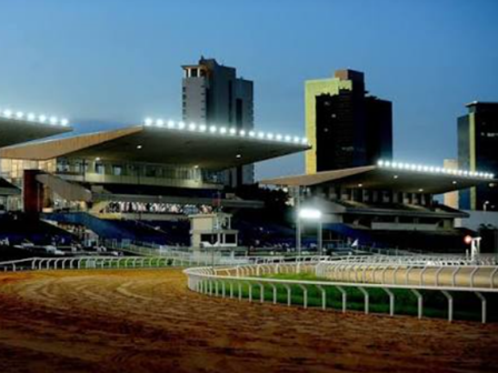 Foto: Copa ABCPCC Regional marca final de semana "verde e amarelo" das corridas de cavalo