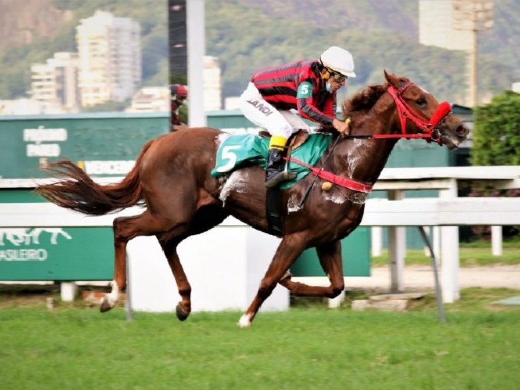 Foto: Intimiste, filho de Olympic Las Palmas, vence allowance por 5 corpos no Jap&atilde;o