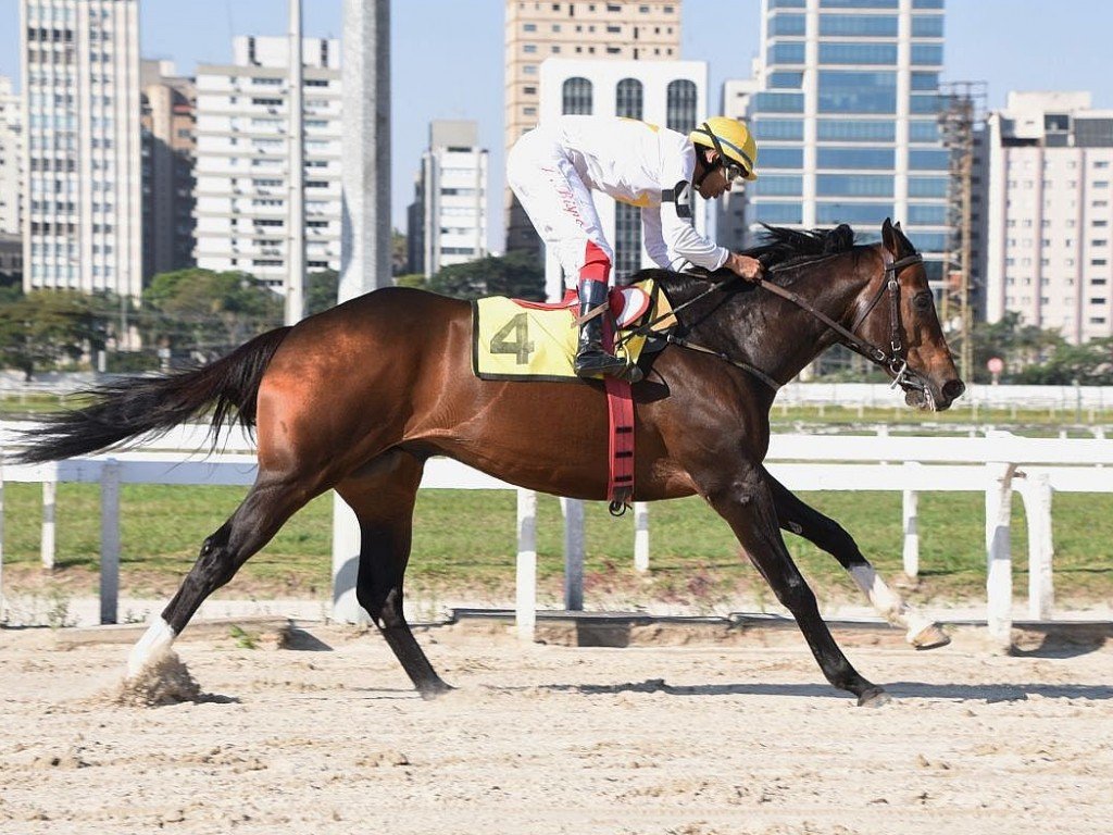 Foto: Lindstrom soma mais um ponto, em Cidade Jardim