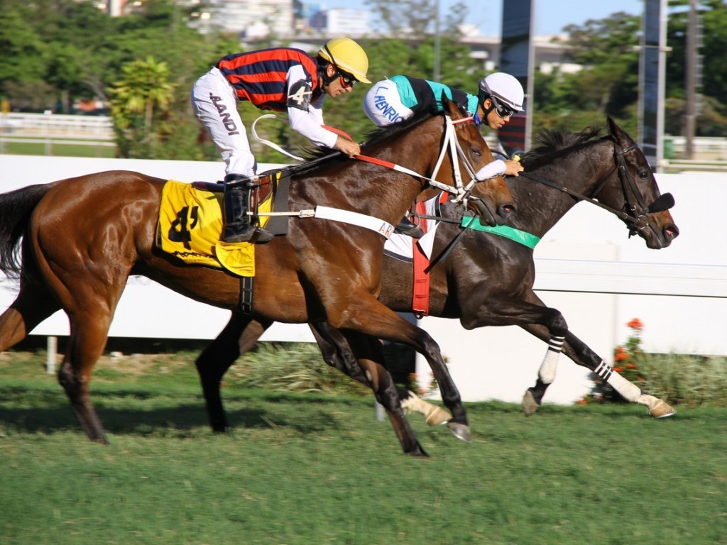 Foto: Per-Piacere conquista batismo nobre no Clássico Octavio Dupont (L)