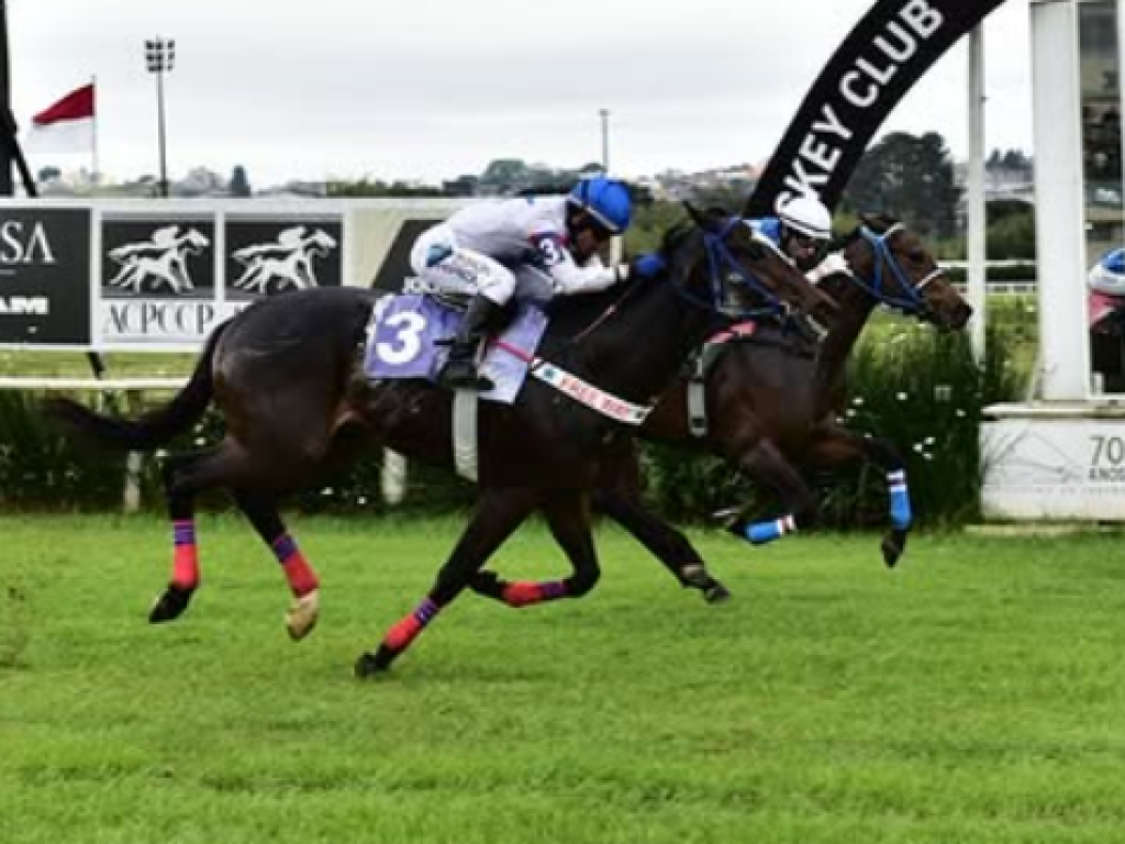 Foto: Entre os velocistas, Elettrizzantte supera Wenzel Jr.