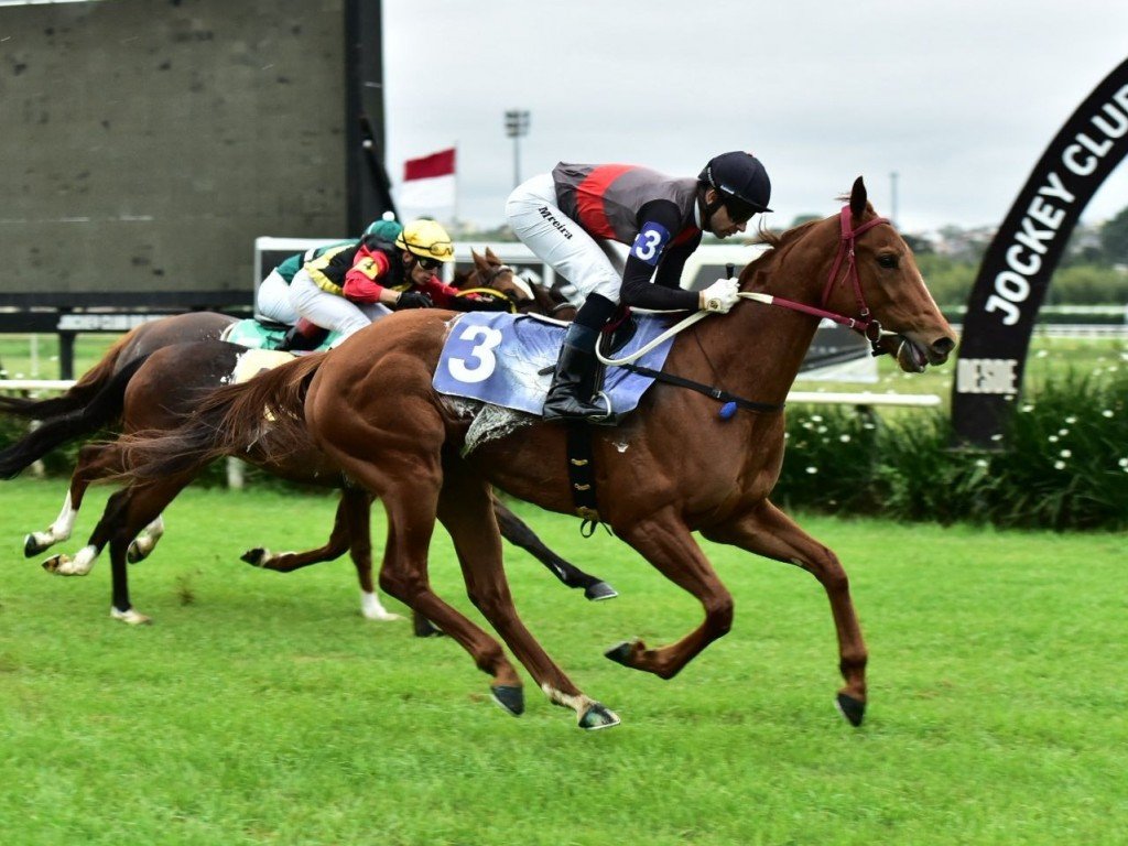 Foto: All Red Love supera ganhadores de G1 na PE Moys&eacute;s Lupion