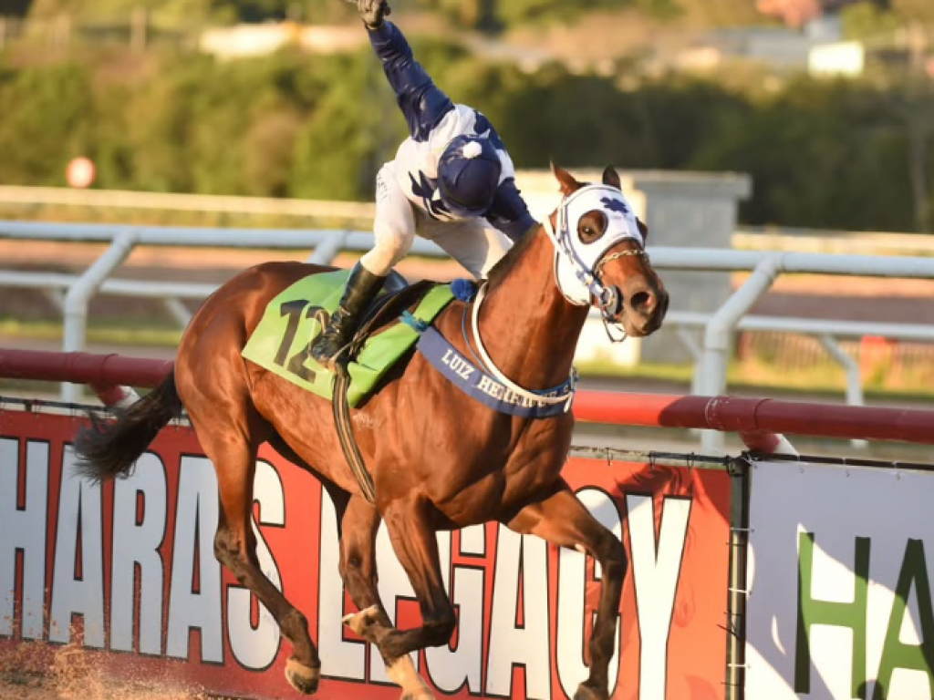 Foto: O "Rei do Cristal" est&aacute; de volta: &Uacute;nico L&ocirc; vence o GP Protetora do Turfe (L)