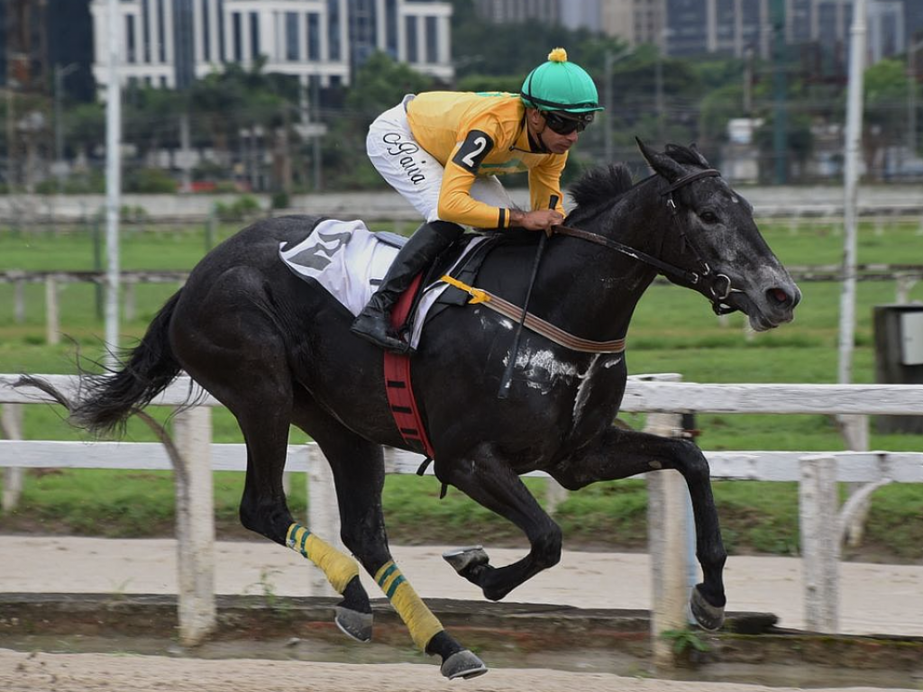 Foto: Ilha's Family domina a Prova Preparat&oacute;ria Colina Verde