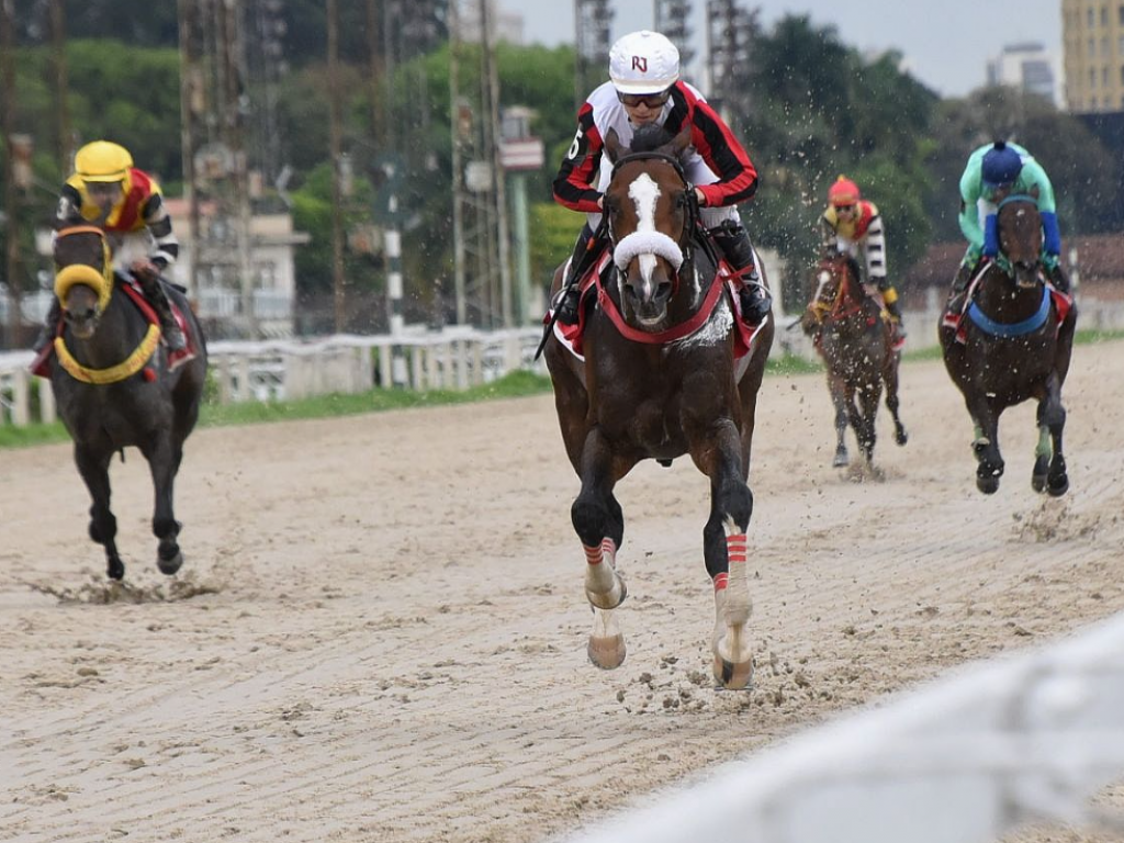 Foto: Na areia, Chernozem garante "bi" em listed race