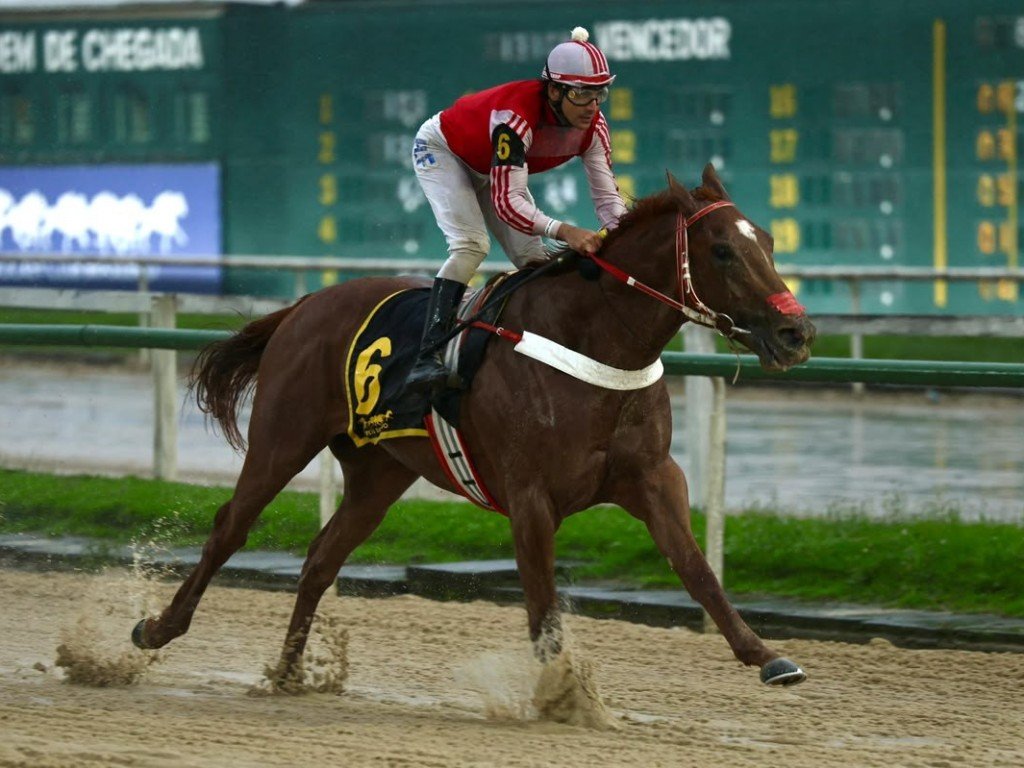 Foto: Aren&aacute;tico de excelentes recursos, &Oacute;bvio fatura o GP Salgado Filho (G3)
