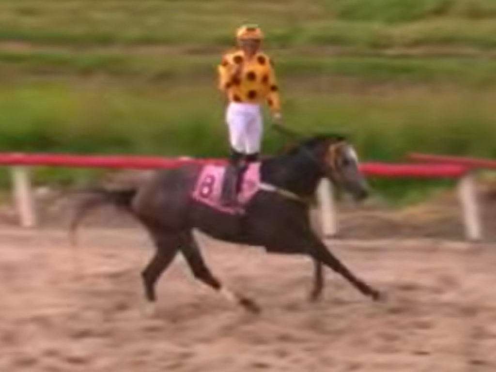 Foto: Absoluto, Humble Hero vence o GP Manoel Medeiros