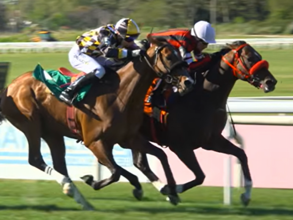 Foto: Maro&ntilde;as: Olympic Olympic levanta o Gran Premio de Honor (L)