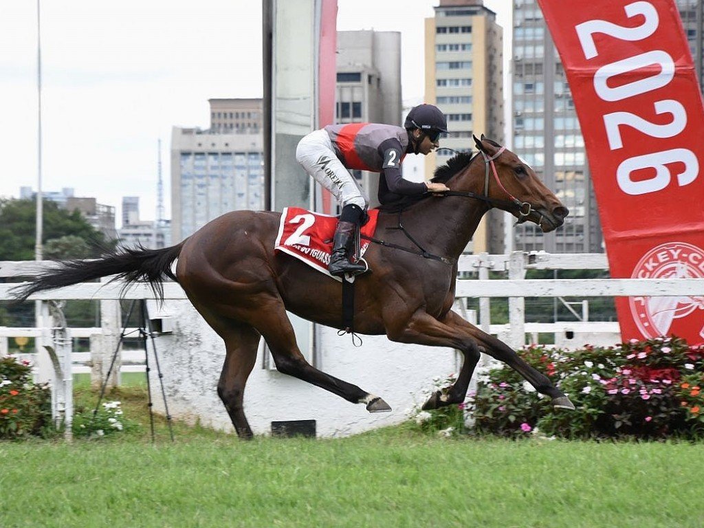 Foto: Taylor do Iguassu endossa linhagem de J&eacute;ca e vence o "Henrique de Toledo Lara"