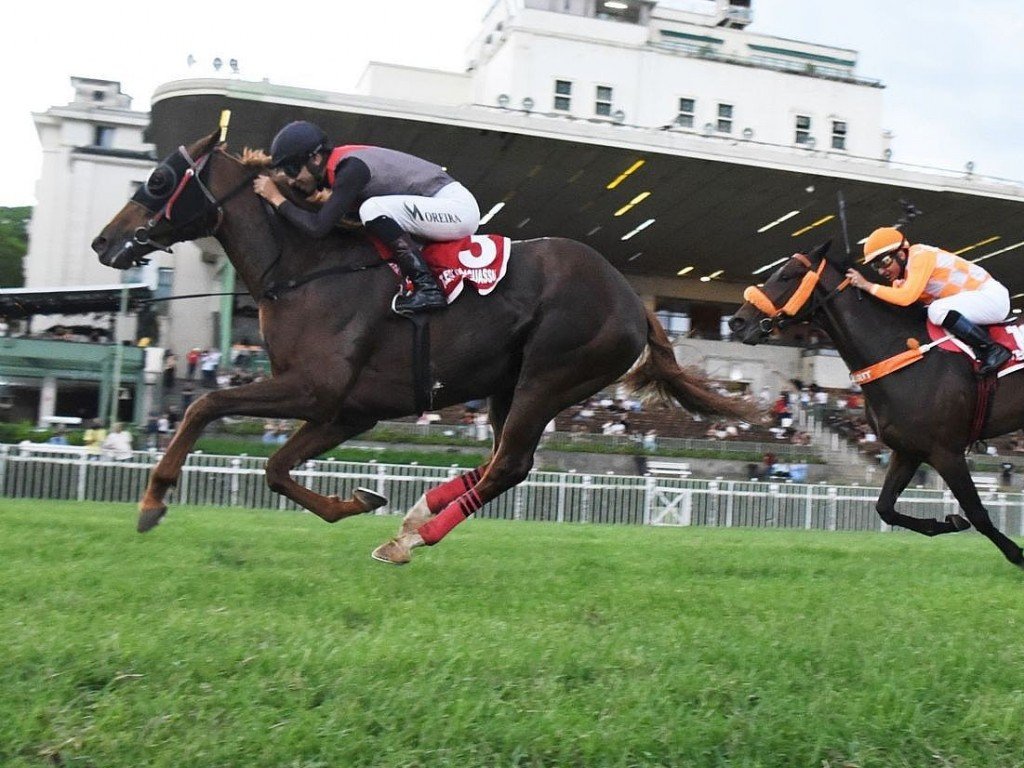Foto: Talento do Iguassu brilha no Grande Pr&ecirc;mio Jockey Club de S&atilde;o Paulo (G1)