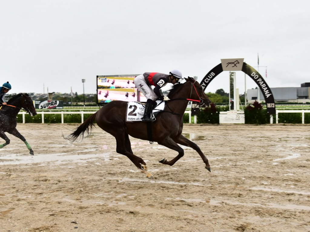 Foto: Sushi do Iguassu confirma favoritismo na Pegasus Brasil Classic