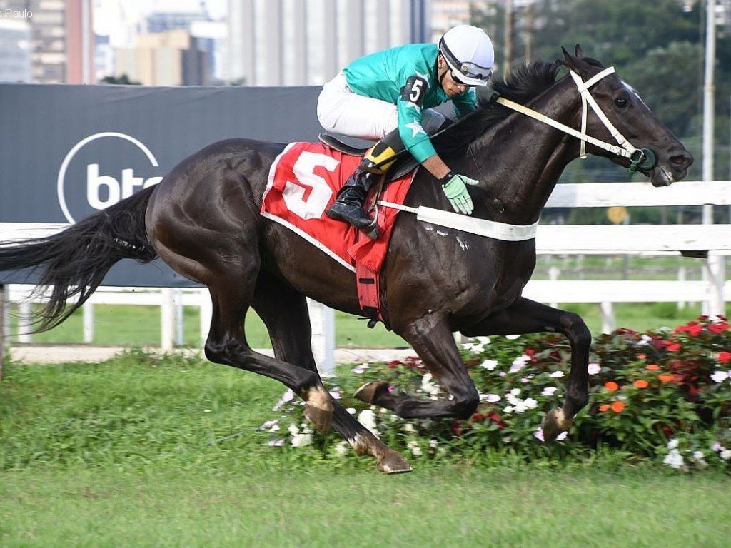 Foto: Faiola acerta o passo para o Derby Paulista