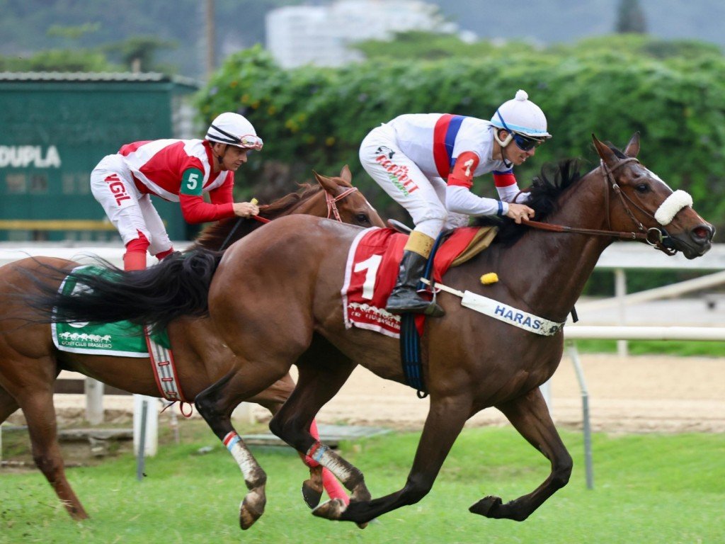 Foto: Victory Dance supera Gevrey-Chambertain em G3