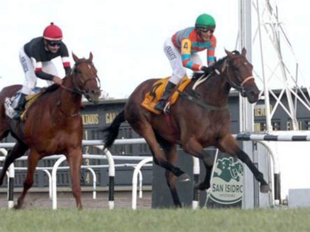Foto: Argentina: Care Lady prevaleceu na Copa de Plata (gr.I)