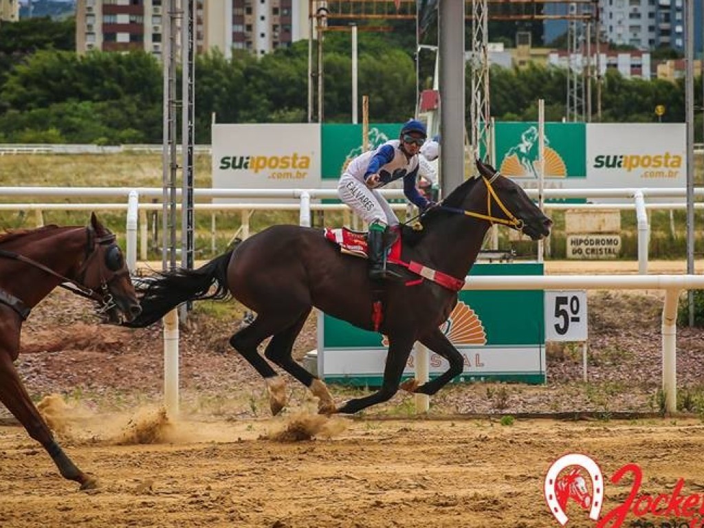 Foto: Tinindo, Jovem D'Alessandro vence mais uma em Porto Alegre